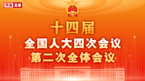 十四届全国人大四次会议第二次全体会议
