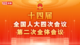 十四届全国人大四次会议第二次全体会议