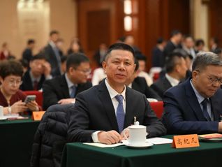 全国人大代表高纪凡：应建立全国储能产能数据库，定期发布风险预警