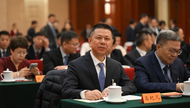 全国人大代表;高纪凡;建立全国储能产能数据库;定期发布风险预警