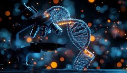 爱分红的信立泰赴港IPO：研发平均薪酬仅20万，支撑数十亿美元全球大药