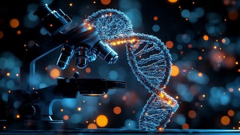 爱分红的信立泰赴港IPO：研发平均薪酬仅20万，支撑数十亿美元全球大药