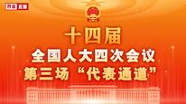 十四届全国人大四次会议第三场“代表通道”集中采访活动