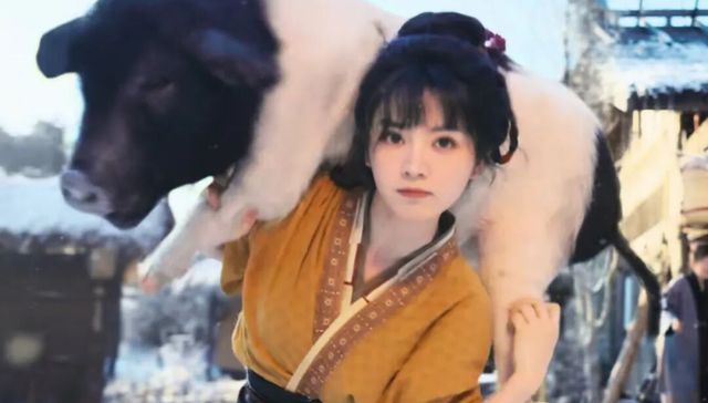 古偶已经是“新京剧”了