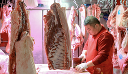 生猪价格跌至年内新低，拐点何时到来？