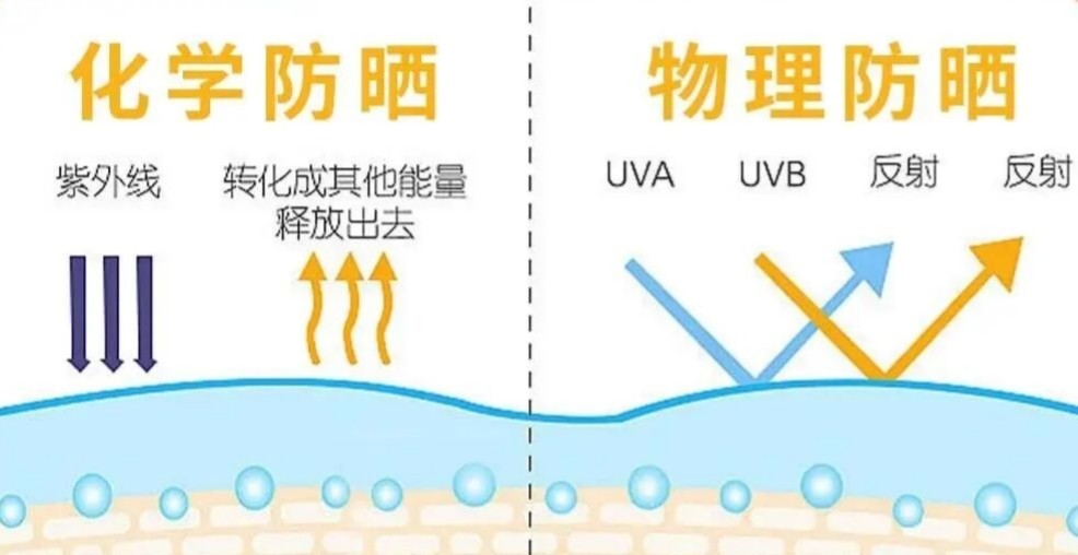 1773287589151345.jpg 7.jpg