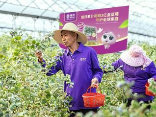 山姆和永辉的供应商鑫荣懋想上市，但卖水果越来越难赚钱