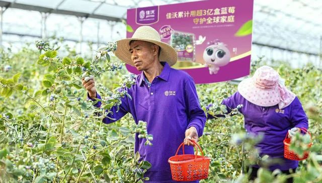 山姆;永辉;鑫荣懋;上市;卖水果;难赚钱