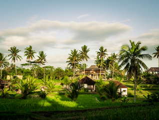 冥冥中我们都会奔赴同样的结局｜一周新书推荐