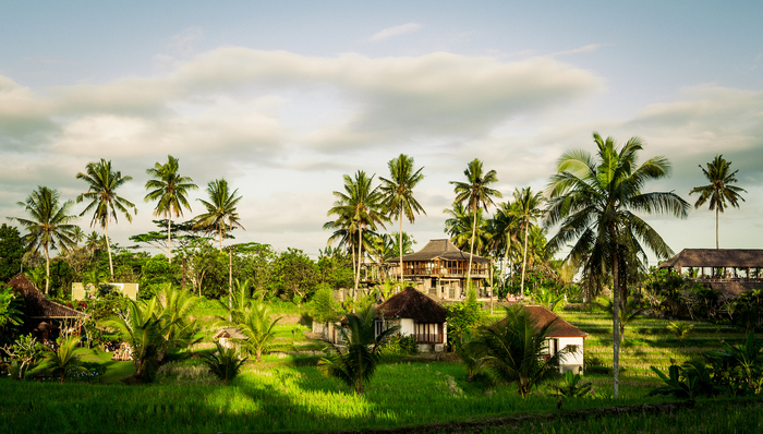冥冥中我们都会奔赴同样的结局｜一周新书推荐