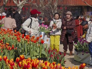 上海发布“春日首发季”文商旅体展联动活动日历