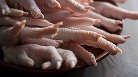 地方新闻精选 | 河南“漂白鸡爪”涉事企业已停产 四川一民警抓捕命案逃犯时壮烈牺牲