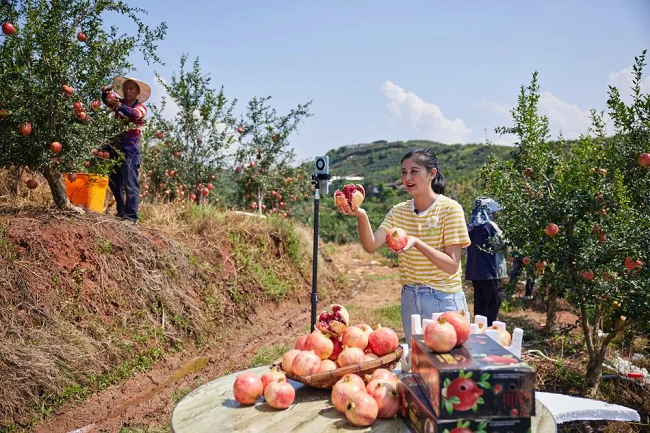 1773717757169098.png 图片 2.png