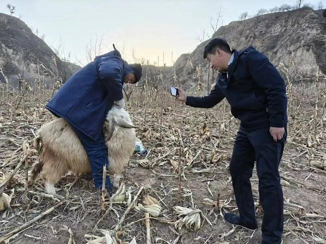 1773717839959359.png 图片 6.png