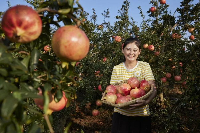 1773717864990268.png 图片 7.png