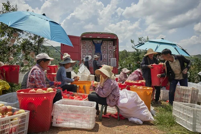 1773717885499865.png 图片 8.png