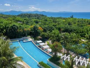 今典集团回应三亚红树林“低价甩卖”：45亿元系债权转让，非资产处置