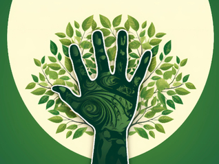 首个省级绿证分配方案出炉！机制绿证归属落定