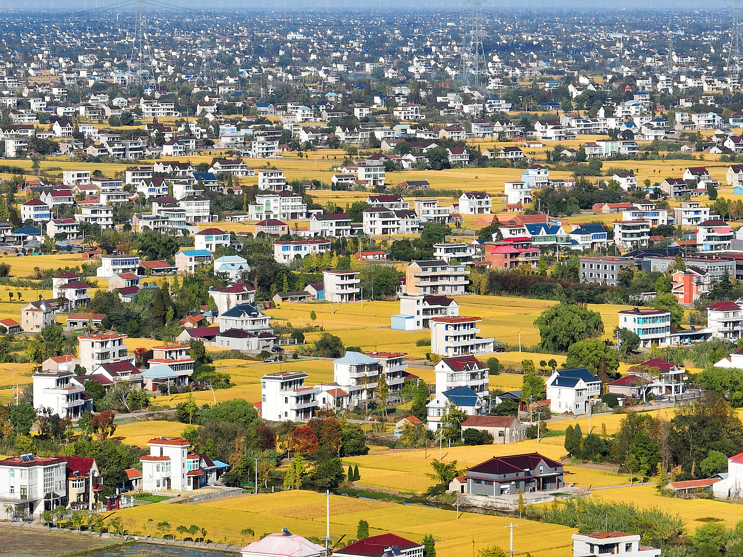 再延长30年，我国全面开展农村承包地二轮到期延包整省试点