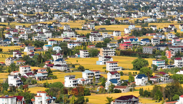农村承包地;二轮到期延包;整省试点;延长30年