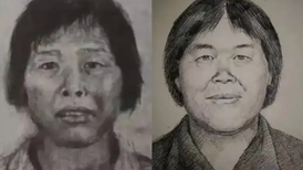 人贩“梅姨”被逮捕,“给其他未找到孩子的家长带来了希望”