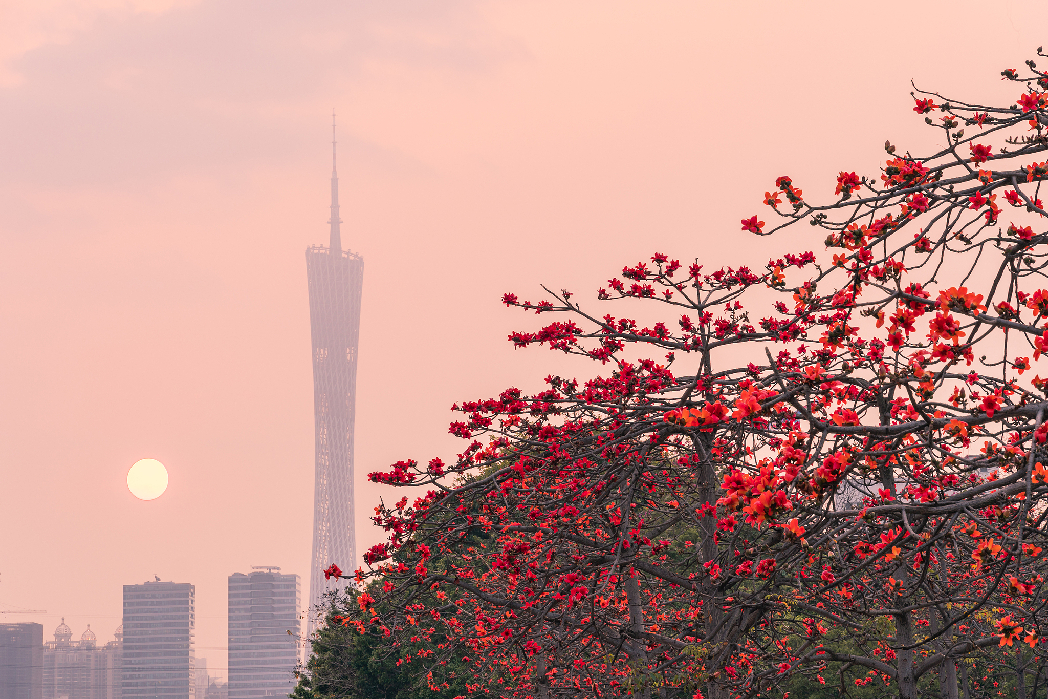 MiniMax进军广州，“中国大模型第一股”的大湾区棋局怎么下？