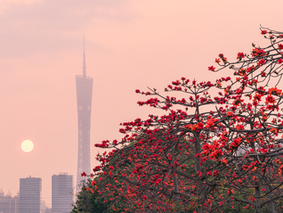 MiniMax进军广州，“中国大模型第一股”的大湾区棋局怎么下？