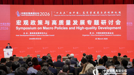 中东局势扰动全球经济，中国宏观政策如何破局？| 中国发展高层论坛