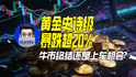 黄金史诗级暴跌超20%，牛市终结还是上车机会？｜商业微史记