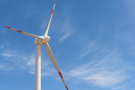 【出海对话】 明阳集团董事长张传卫：一年143 次国际远行，新出海要靠属地化