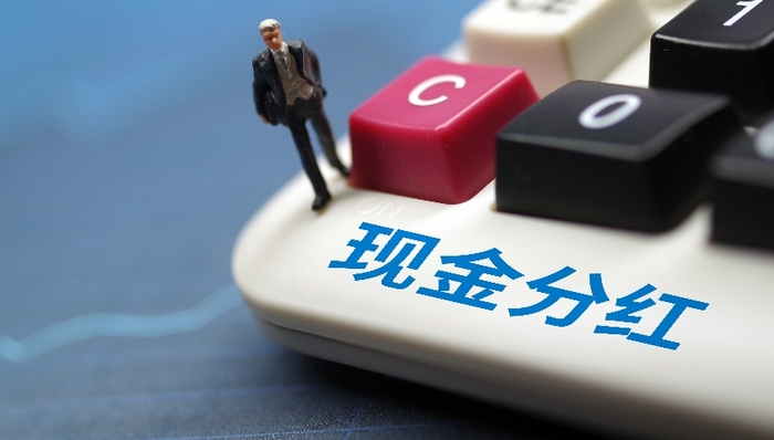 分红,回购,投资者,业绩,套现A股上市公司;分红回购;基本面投资价值