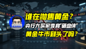 谁在抛售黄金？央行大买家变身“砸盘侠”，黄金牛市到头了吗？｜商业微史记
