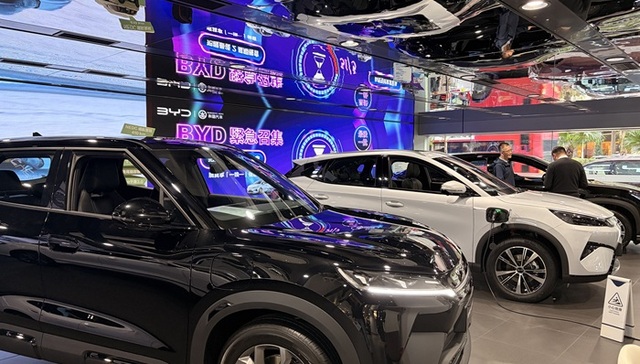 Hong Kong; EV rush; subsidy deadline; Chinese brands; staying power