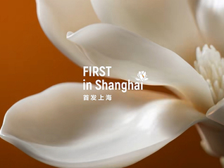 一輛自行車賣18萬元還被搶光，上海