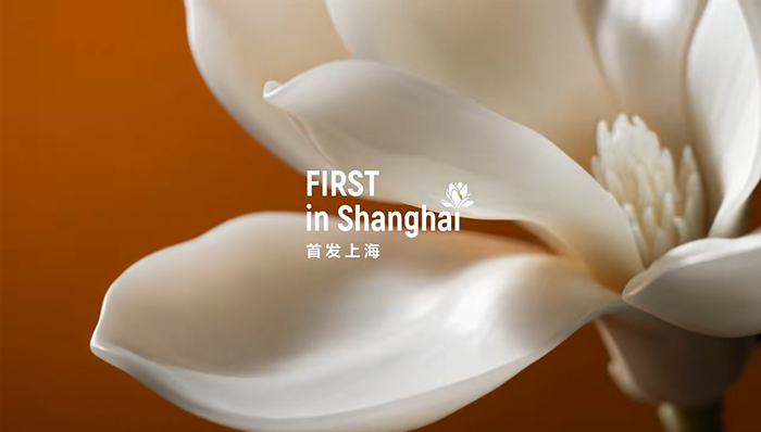 上海，新品首发，首秀，产业，政策