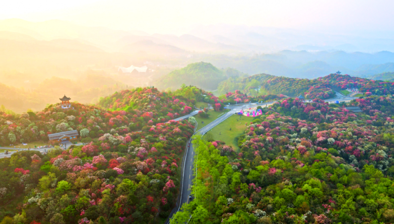 1774602239563730.png image.png