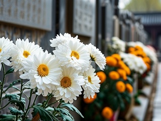 新版《殡葬管理条例》今起施行：禁止住宅专门用于安置骨灰