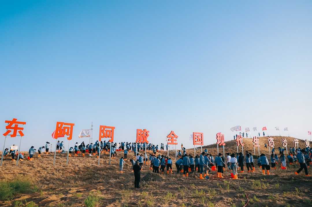 大漠连泉城：一条航线背后的“双向奔赴”