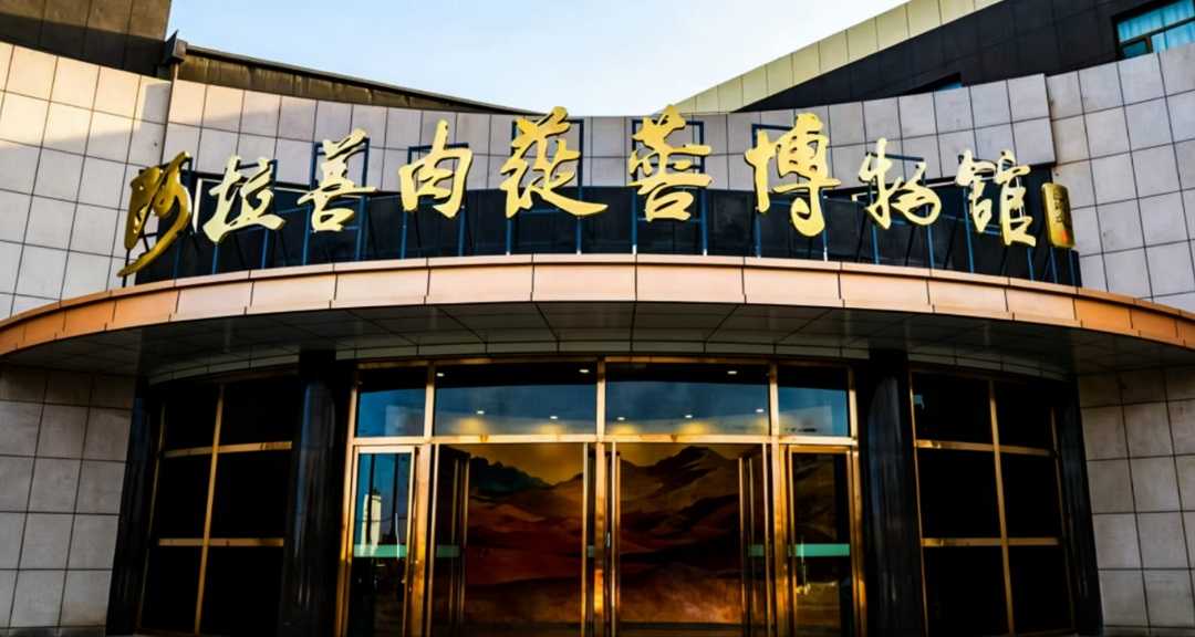 大漠连泉城：一条航线背后的“双向奔赴”