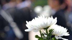 明码标价、收费公示，殡葬行业迎“透明化”重塑