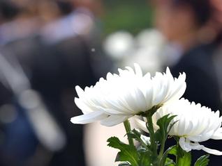 明码标价、收费公示，殡葬行业迎“透明化”重塑