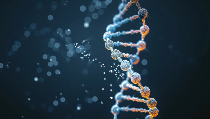 医药外包;走出低谷