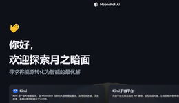 月之暗面：赢家的代价