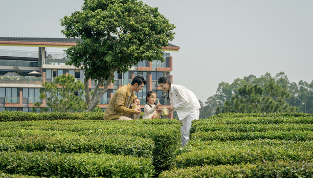 新酒店 | 在惠州茶山之间，体验一种“轻盈探索”的度假方式