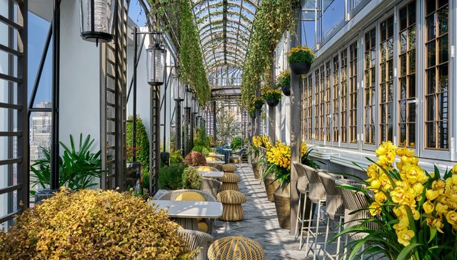 新酒店 | 重拾弄堂时光，安达仕的海派生活