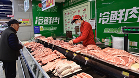 猪价持续走低，中央冻猪肉收储即将启动
