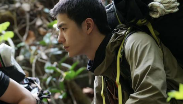 王一博的自由值多少钱？