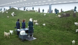 我們總是一邊批判，一邊把追隨變成習(xí)慣 | 一周新書推薦