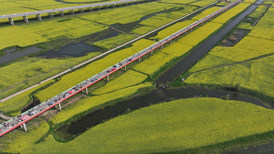 亲子研学订单翻倍、租车订单量涨四成，清明假期消费结构向品质化升级