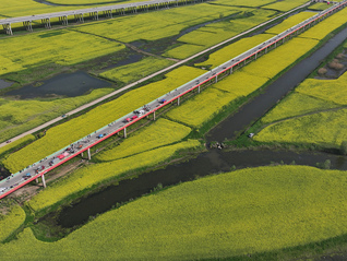 親子研學(xué)訂單翻倍、租車訂單量漲四成，清明假期消費(fèi)結(jié)構(gòu)向品質(zhì)化升級